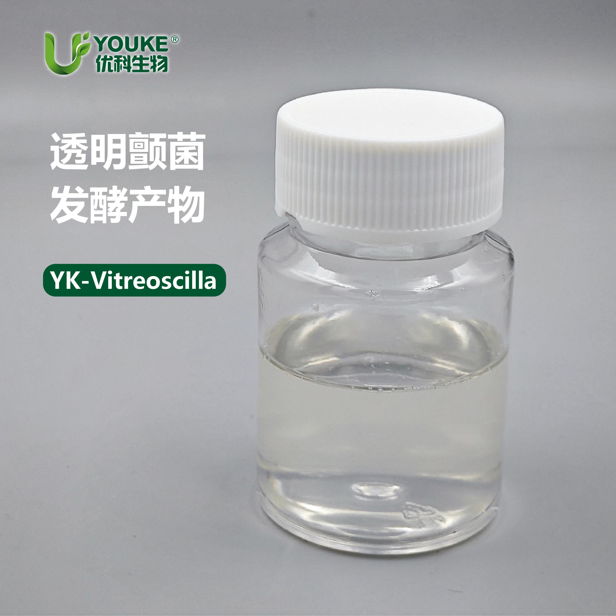 YK 透明颤菌发酵产物