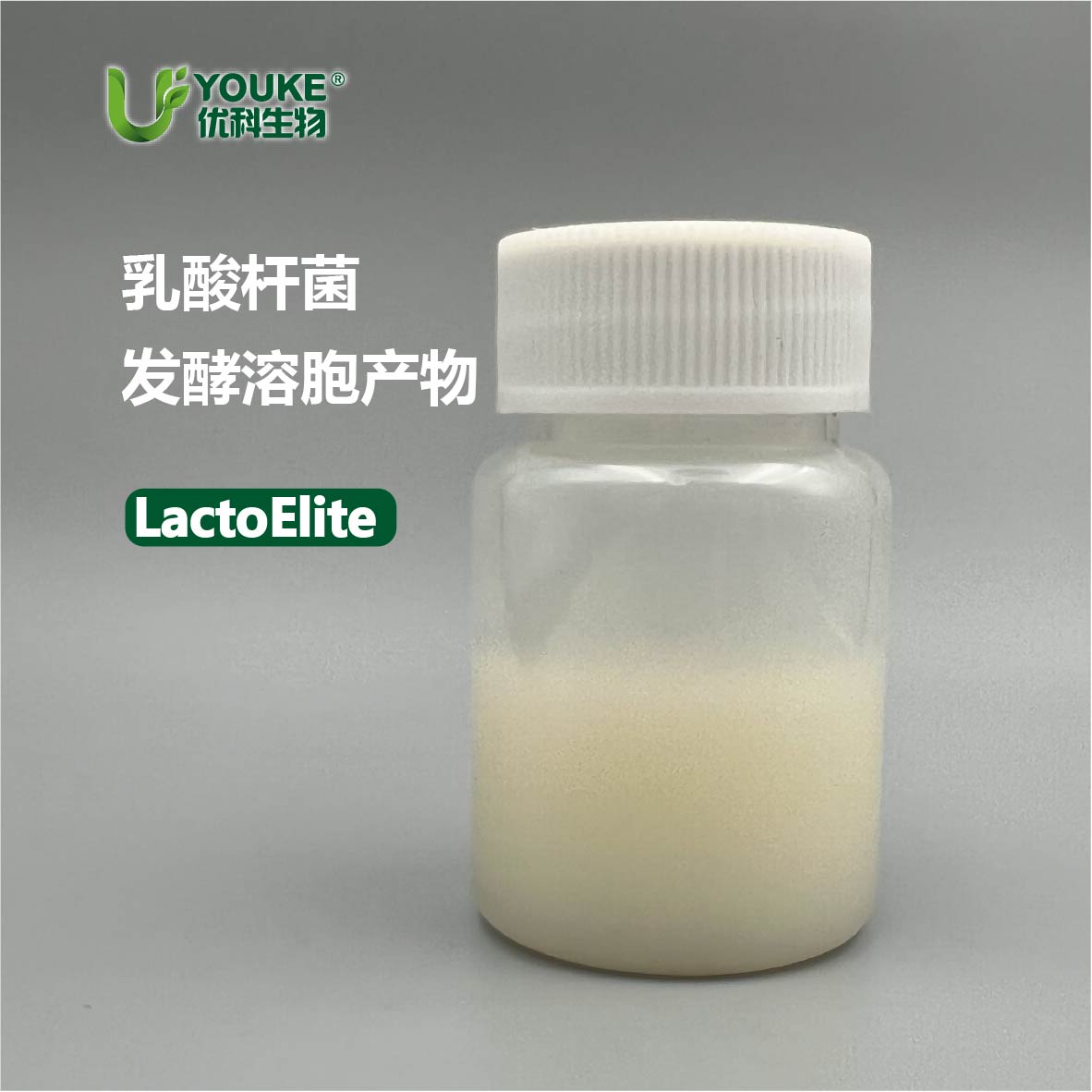 乳酸杆菌发酵溶胞产物Ⅱ