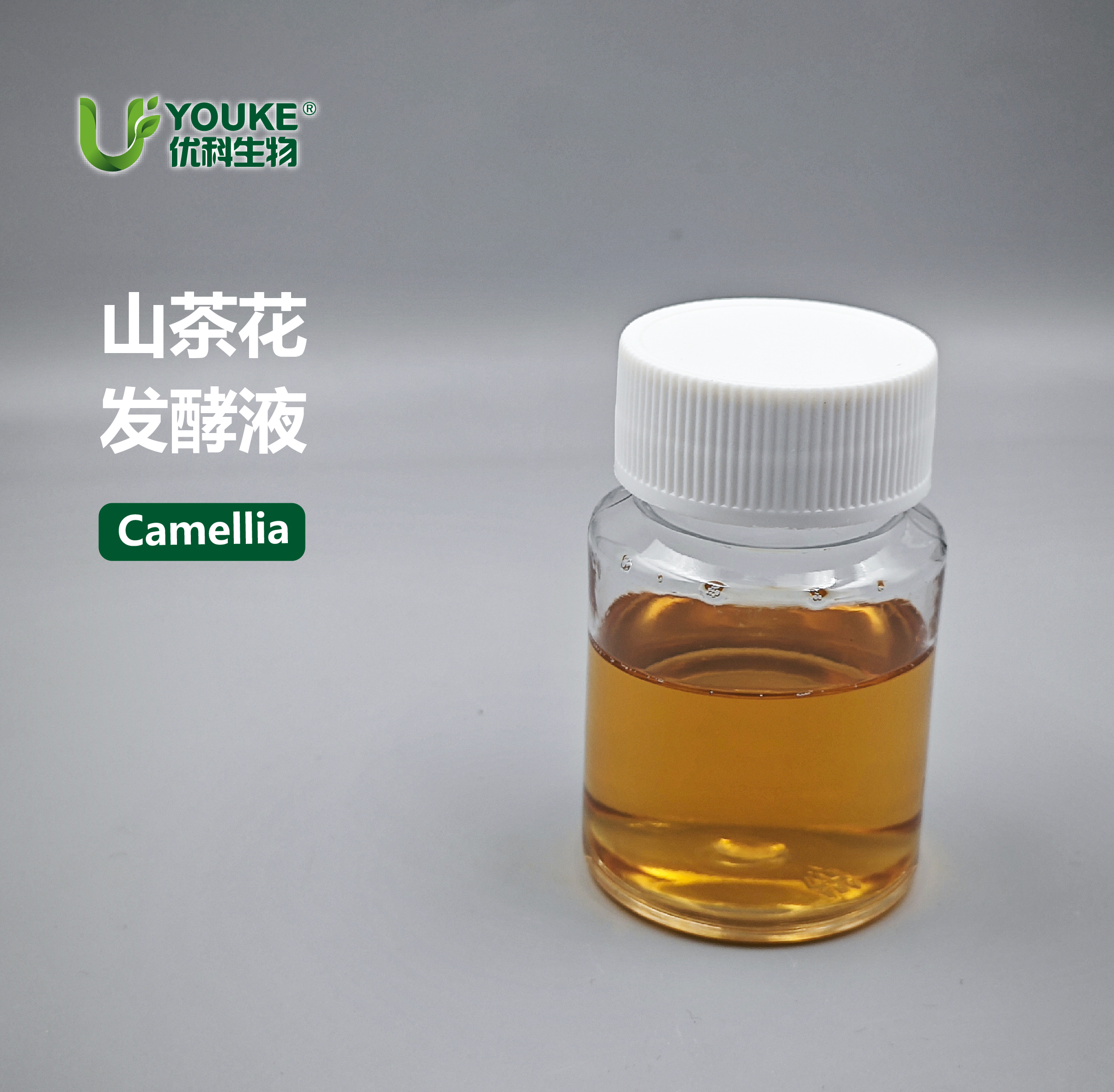 山茶花发酵液