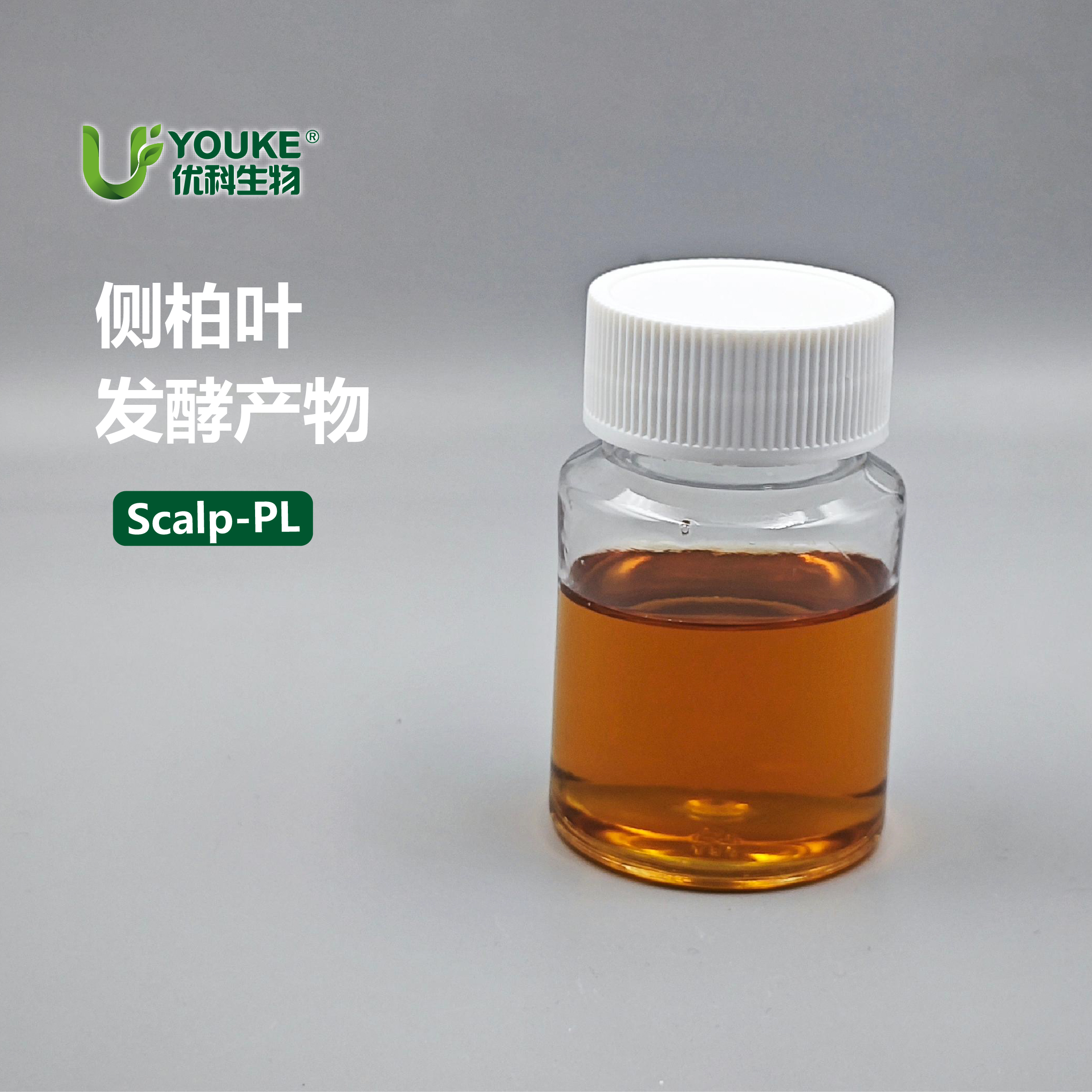 侧柏叶发酵产物